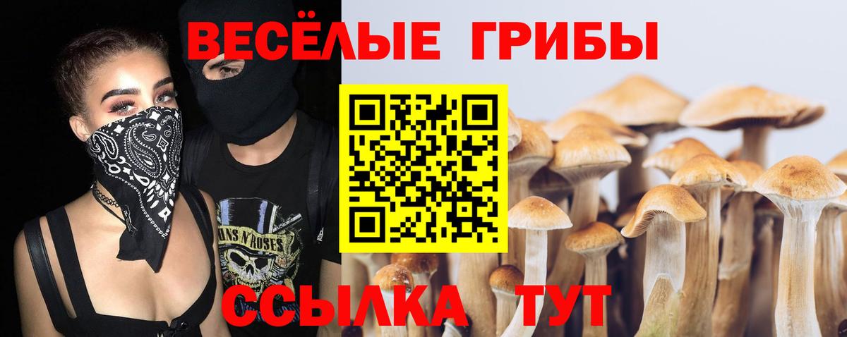 Псилоцибиновые грибы GOLDEN TEACHER Брянск