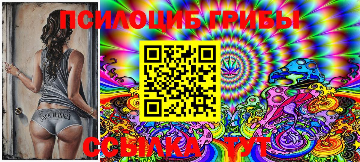 Галлюциногенные грибы Psilocybine cubensis  Псилоцибиновые грибы ЛСД  купить наркотики цена  Брянск  Вход с VPN 