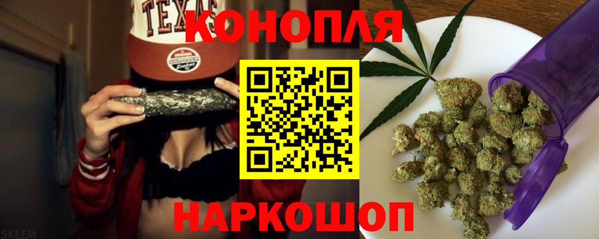 Бошки Шишки семена Брянск